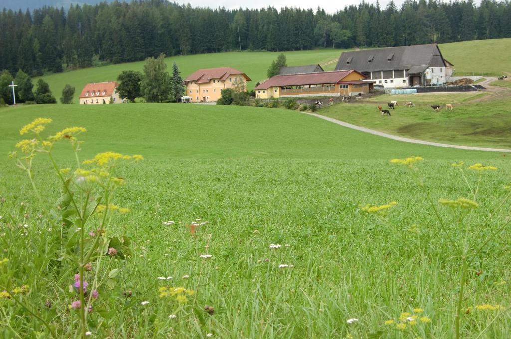 马里亚霍夫沃莱瑟乡村民宿的一片绿草丛,有房子的背景