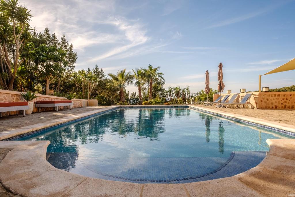 卡拉瓦德亚萨兹玛洁斯别墅的棕榈树度假村内的游泳池
