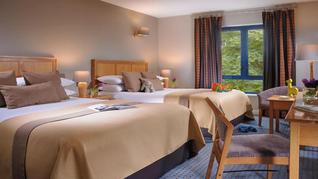 基拉尼The Parkavon Hotel的酒店客房设有两张床和窗户。