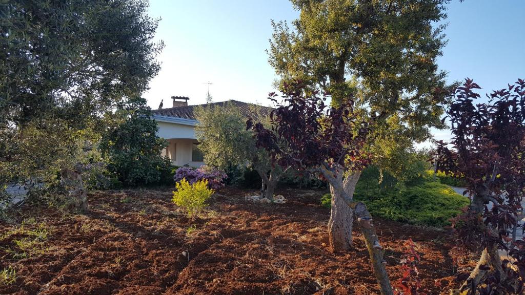 孔韦尔萨诺La civetta Rodonisa的树木繁茂的房屋前的花园