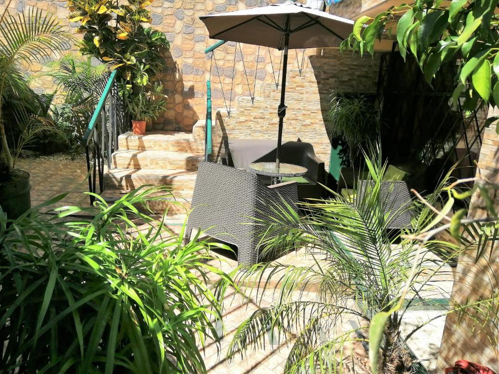 圣何塞Casa Leon Guesthouse的一个带桌子和雨伞的庭院,以及一些植物