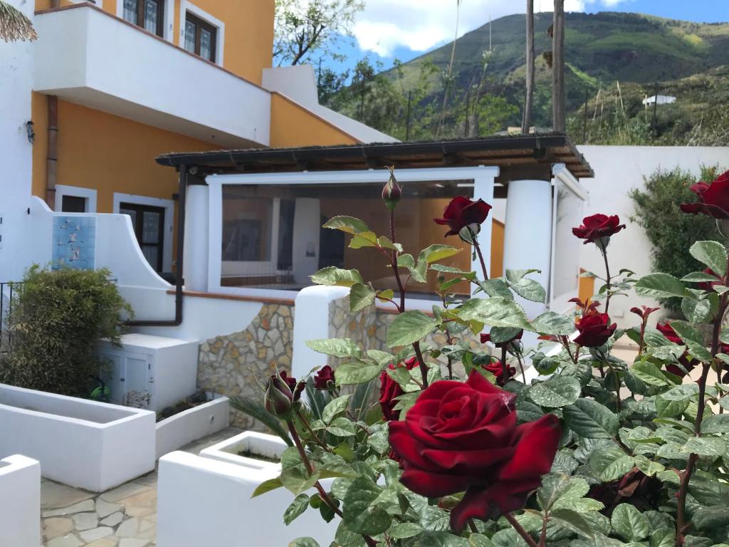 圣马里纳萨利纳B&B La Goletta di Salina的玫瑰花丛在房子前面