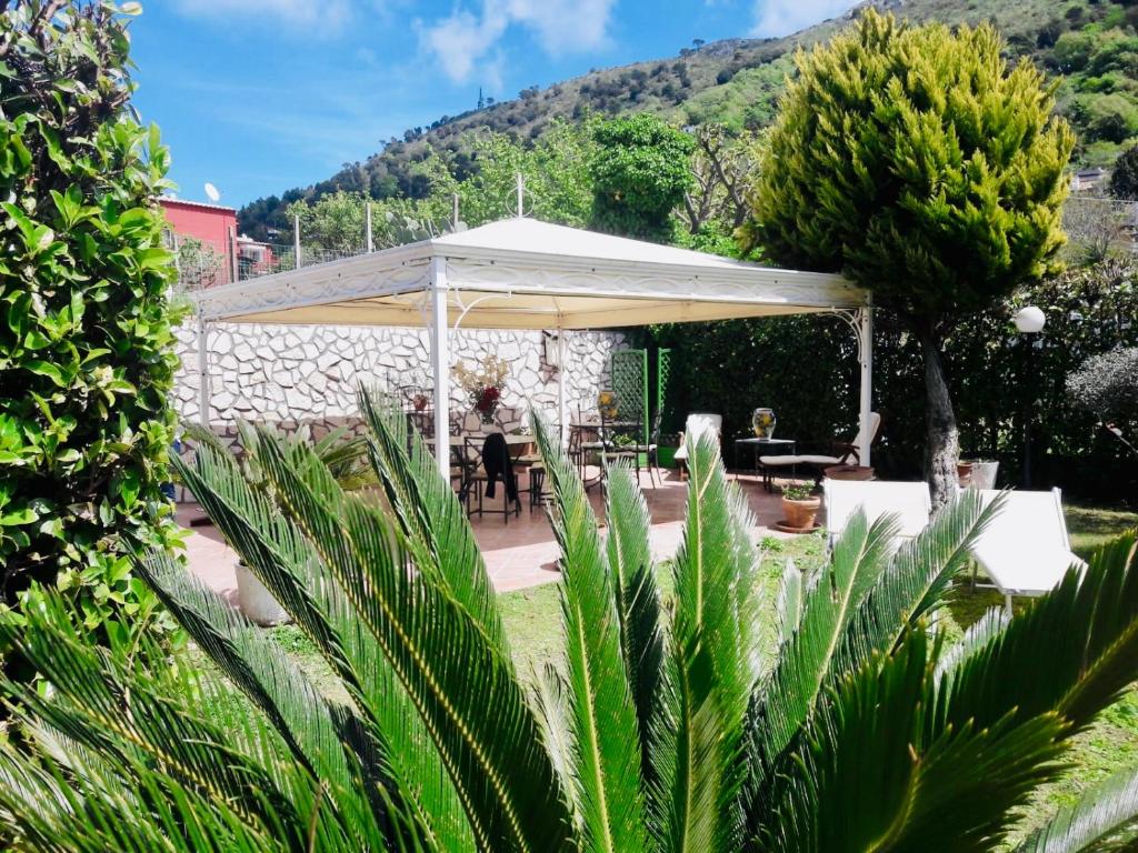 阿纳卡普里Villa Alessandro - Anacapri的花园内带白色天篷的庭院