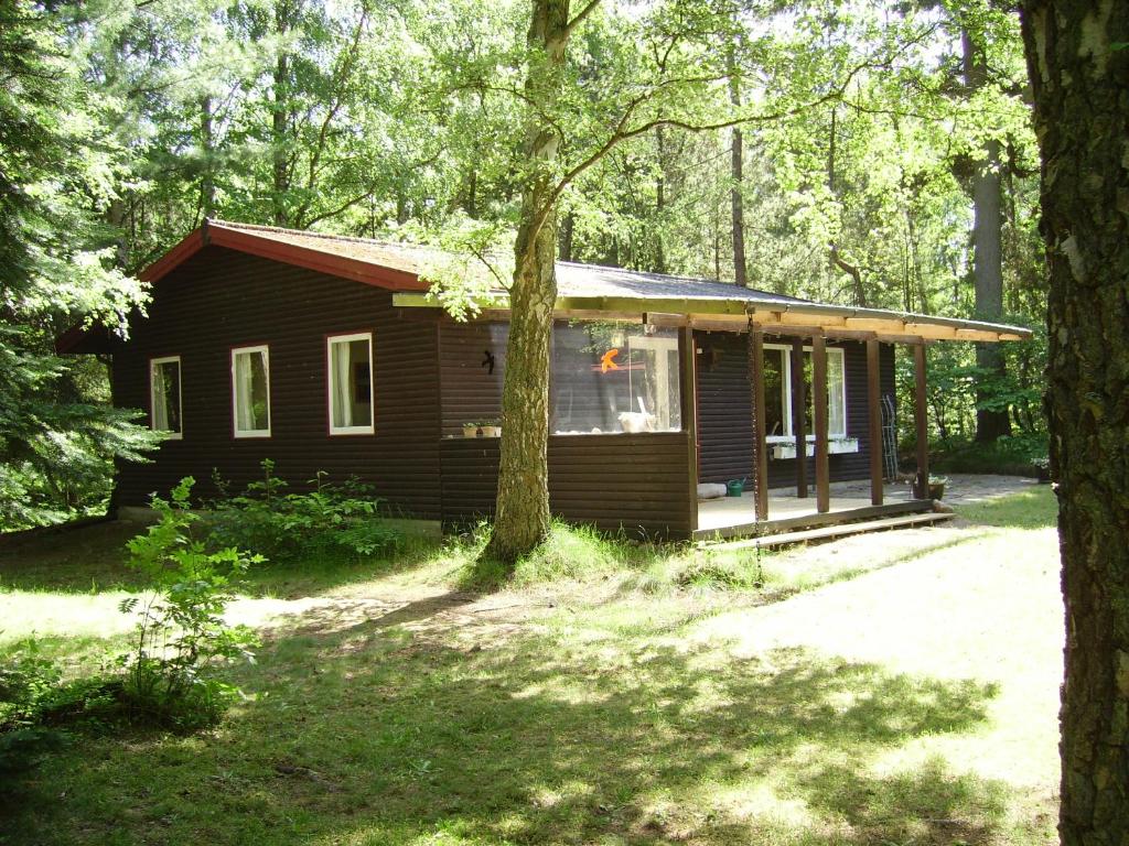 伦讷Midtvejshuset的树林中的小小屋,有树