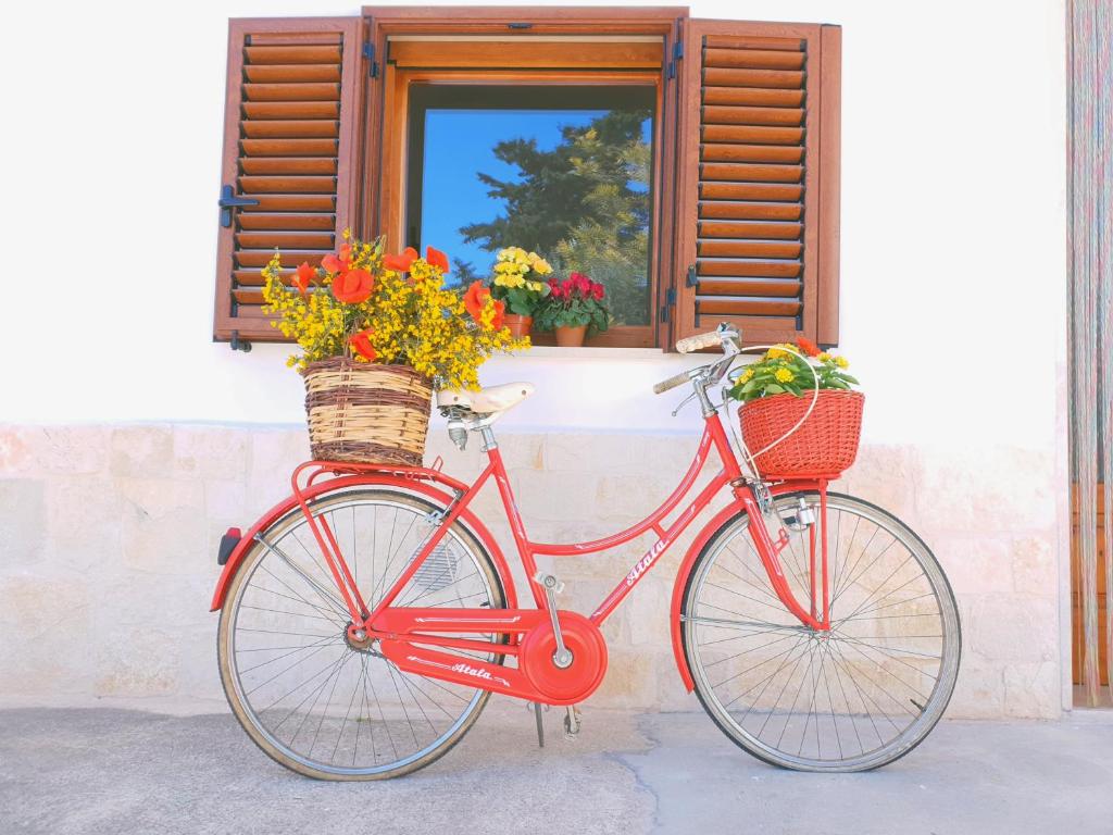 莫诺波利Il Trulletto Del Sognatore的一辆红色自行车停在一扇装有鲜花的窗边,放入篮子