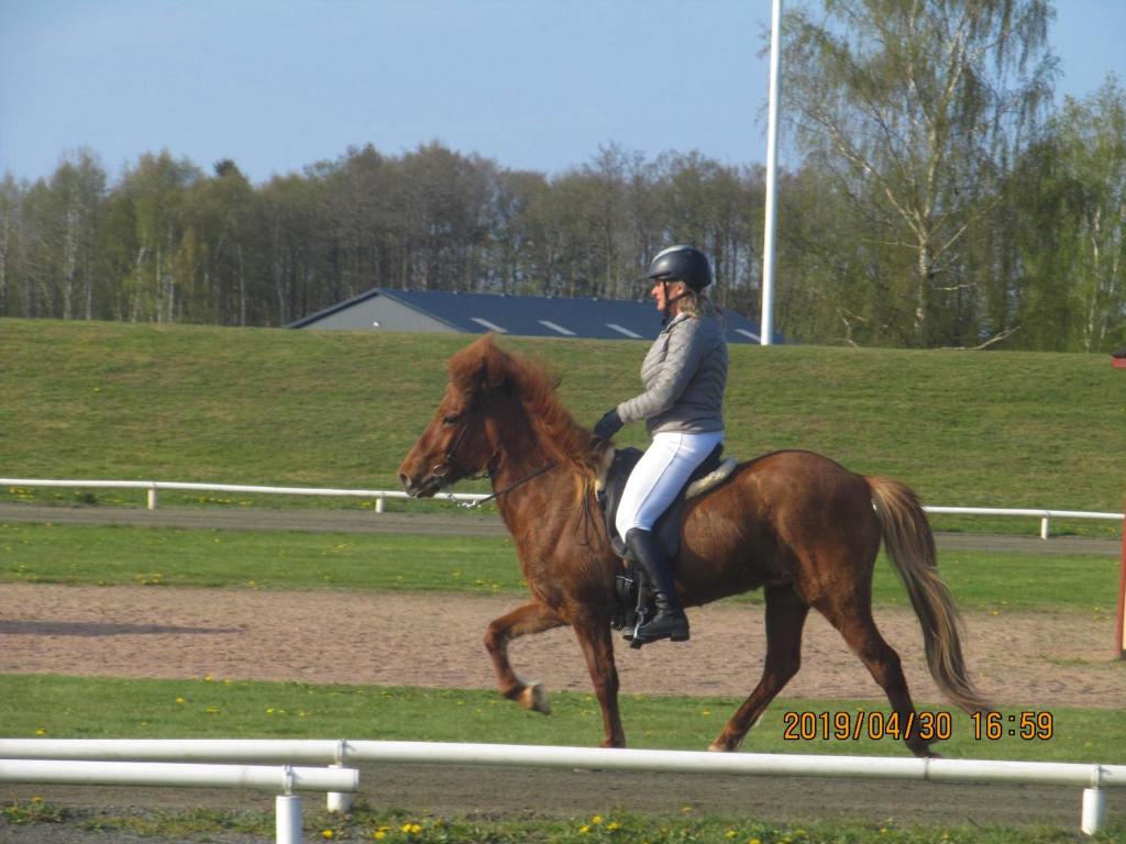 SandbyLiv på Österlen Bed&Breakfast的相册照片