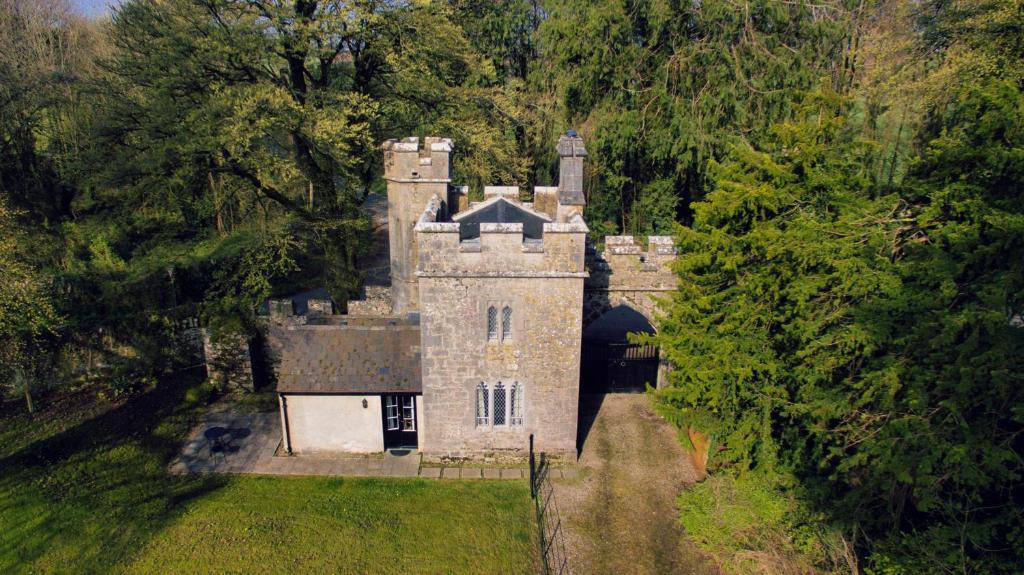 CastletownrocheAnne's Grove Miniature Castle的森林中间的一座古老城堡