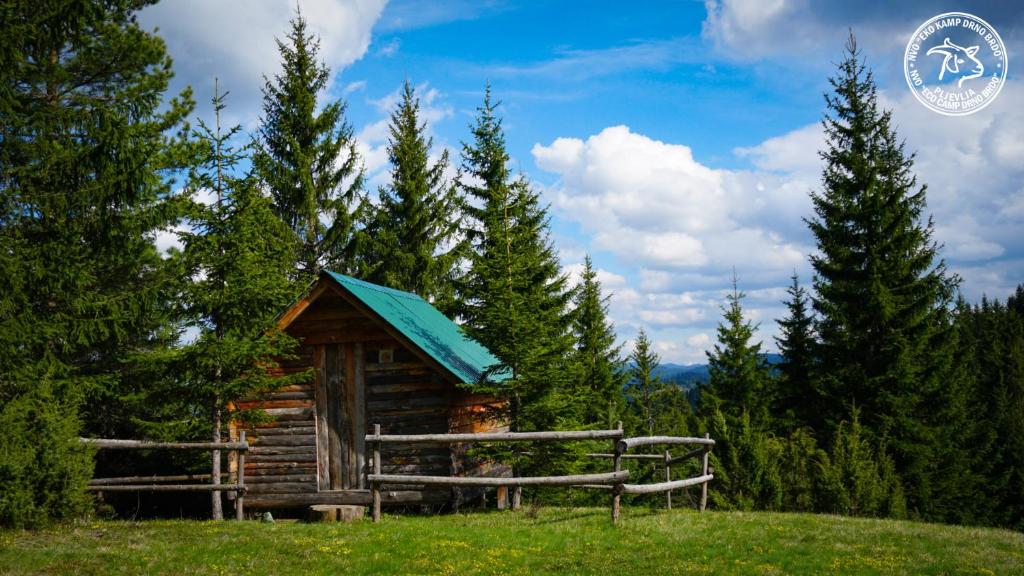 KosanicaEco Camp Drno Brdo的野外的小木屋,屋顶蓝色