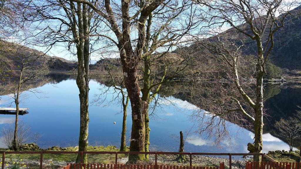 格伦芬南Number 4, Loch Shiel View的享有树木和围栏的湖泊美景