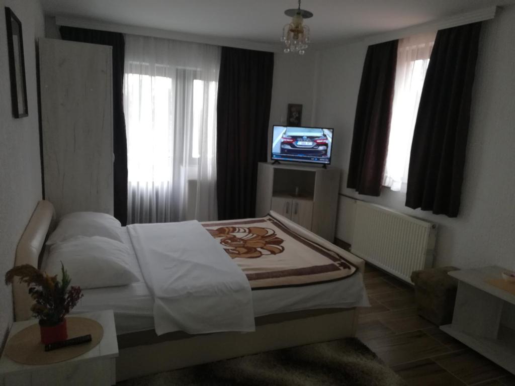 巴尼亚科维利亚查LAZAREV KONAK的一间卧室设有一张床,窗户设有一台电视。