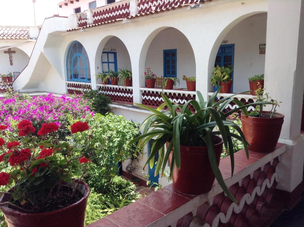 塔斯科·德·阿拉尔孔圣普里斯卡酒店的建筑里种植了盆栽植物的阳台