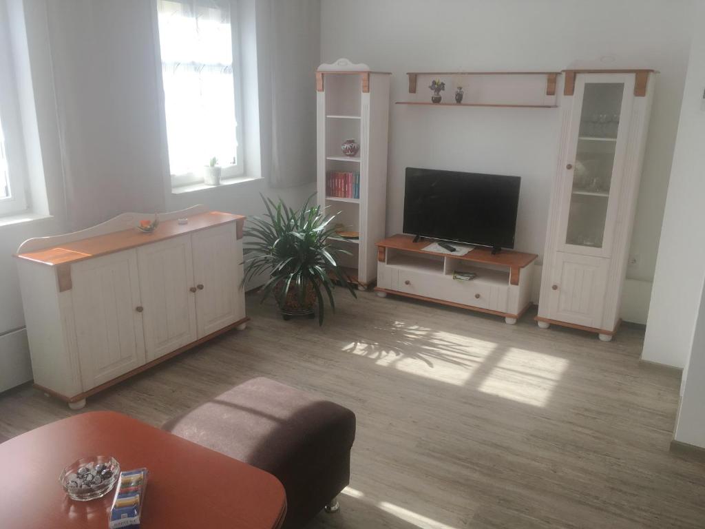 武尔岑zentral gelegene top ausgestattete Wohnung的客厅配有平面电视和沙发。