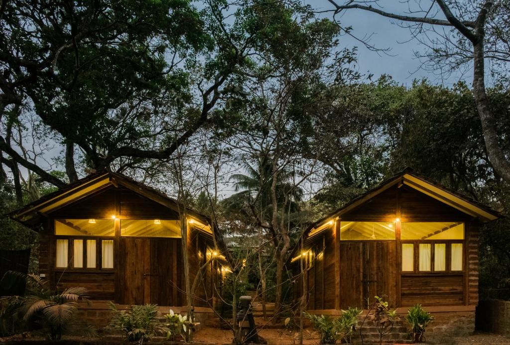 阿斯高Namaste Jungle - A Boutique Homestay的两间小木屋,晚上在树林里灯火通明