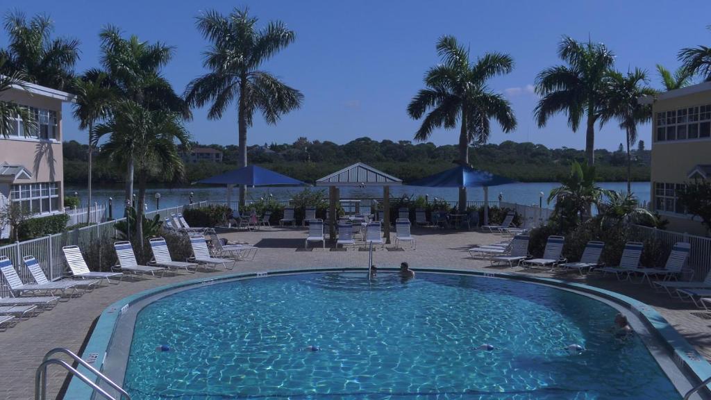 克利尔沃特赤脚海滩度假酒店的一个带椅子和棕榈树的大型游泳池