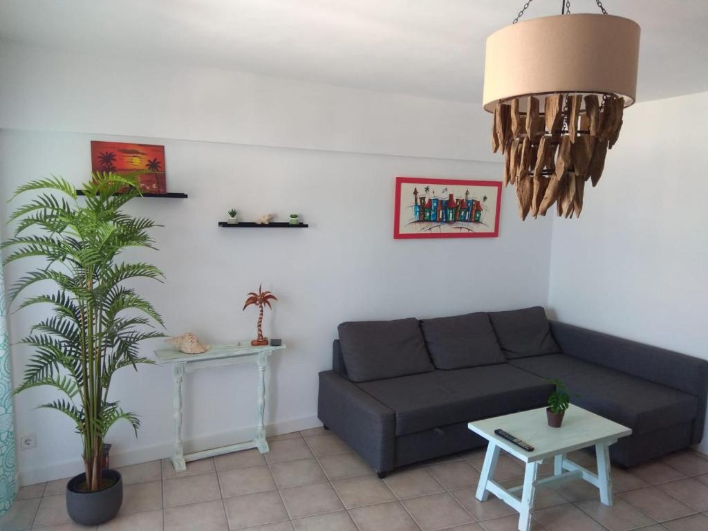 拉斯内格拉斯APARTAMENTO ACOGEDOR CON VISTAS AL MAR的带沙发和盆栽植物的客厅