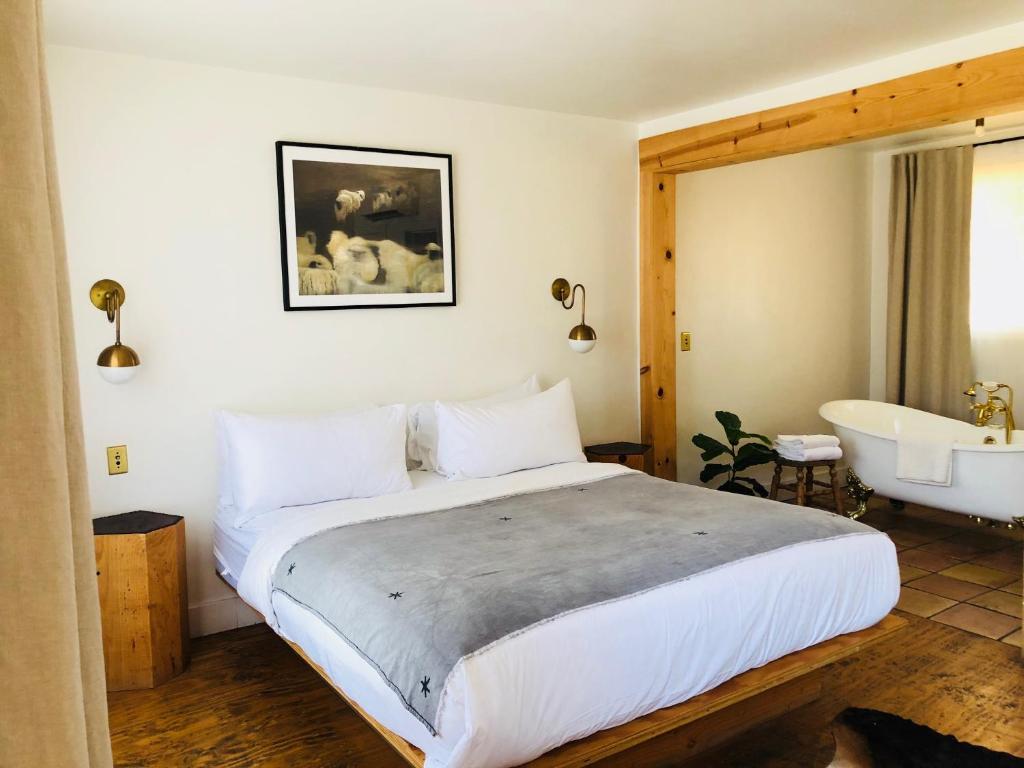 洛斯阿拉莫斯阿拉莫汽车旅馆的一间卧室配有一张床、一个浴缸和一个水槽