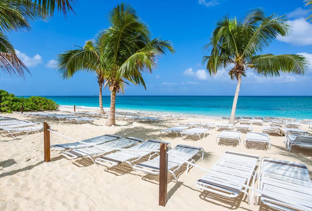 乔治敦Beach Living at Island Pine Villas (BLJ)的海滩上,有椅子和棕榈树,还有大海