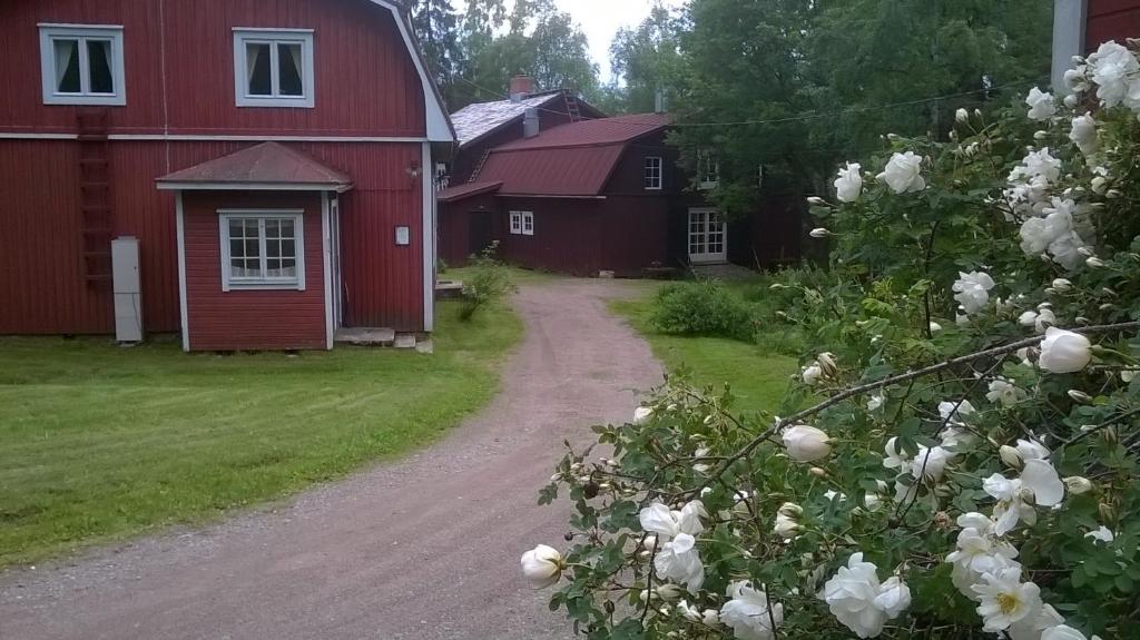 PorrasPortaan Nahkurinverstas的一条布满白色花的红谷仓旁边的土路