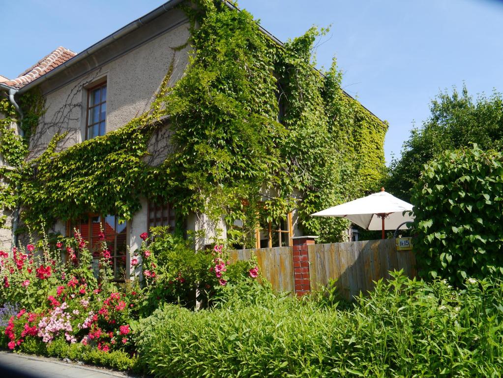 施特拉尔松德Haus Vincent Stralsund的常春藤覆盖的房屋,有围栏和雨伞