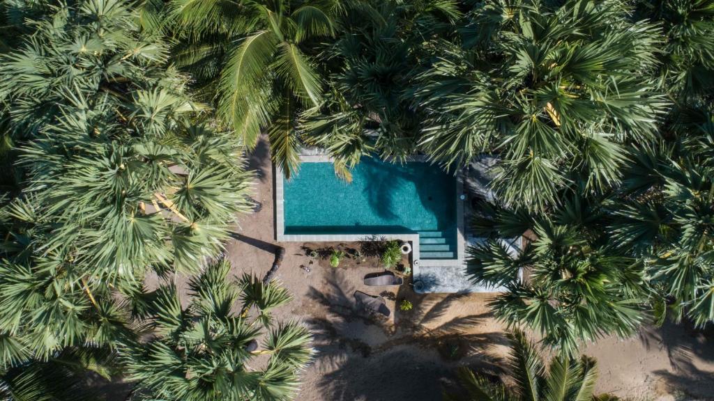 卡尔皮蒂耶Anawasal的棕榈树之间游泳池的顶部景色