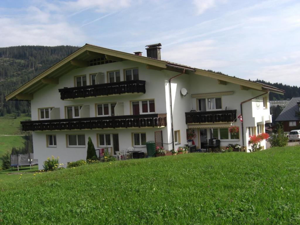 里茨勒恩Gästehaus Boersch的山丘上带绿地的房子