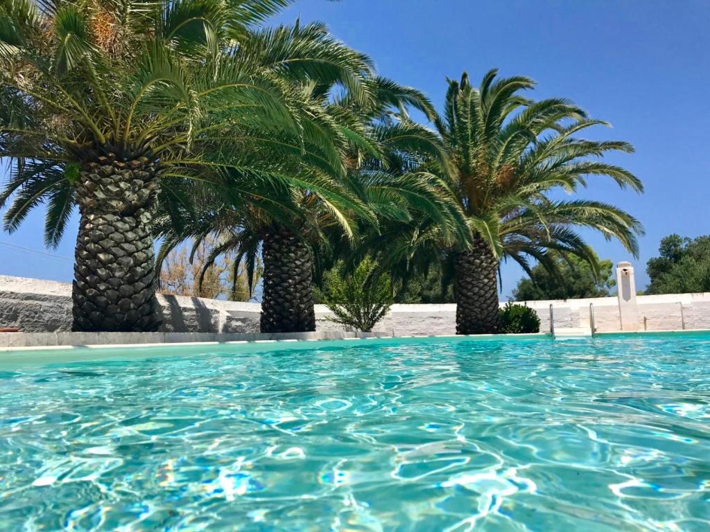 奥斯图尼马塞里亚里恩佐酒店的棕榈树的游泳池