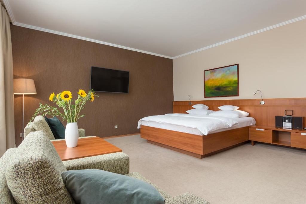奥帕瓦Apartmány Kramer的一间酒店客房,配有一张床和一台电视