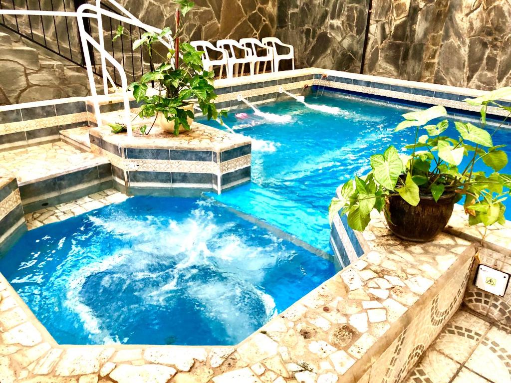 特尔马斯德里奥翁多Termas Del Sol的蓝色的水和植物的游泳池