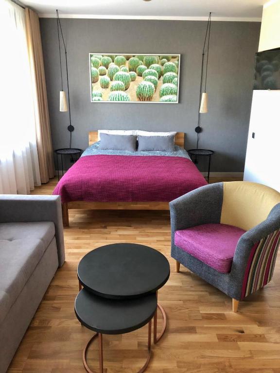 斯米尔泰内Kaktuss apartamenti Smiltene的一间卧室配有一张床、一张沙发和一张桌子