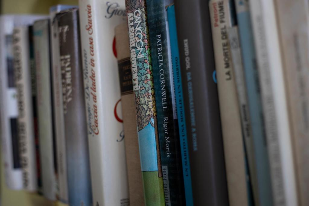 马里纳迪马萨多塞索乐露营地的书架上的一排书