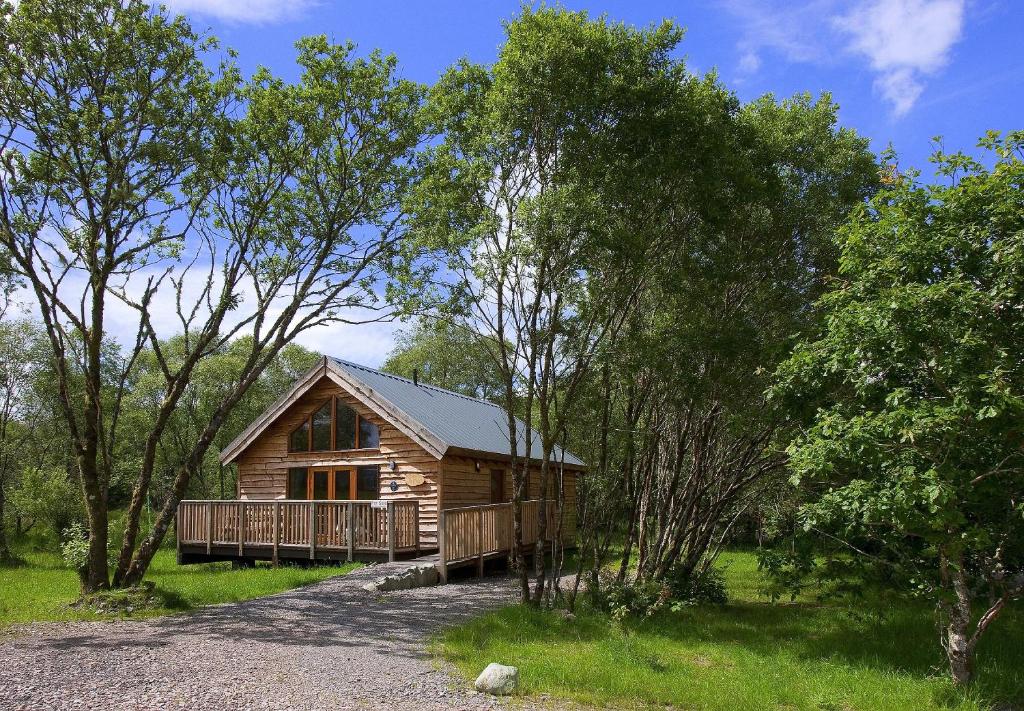Dallavich奥赛湖景山林小屋的森林中间的小木屋
