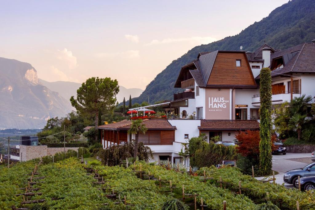 卡尔达罗Hotel Haus am Hang的一座拥有葡萄园的小山上的酒店