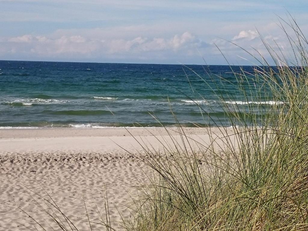 奥茨塞巴德·迪尔哈根Ferienwohnung Mone的海滩与大海相映成趣