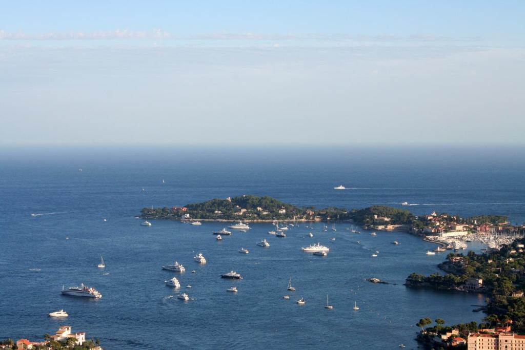 戛纳Appartement vacances cannes的海港的空中景色,水中有船只