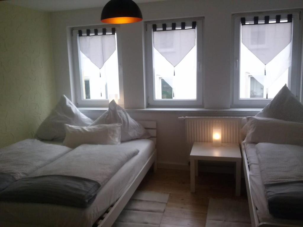 林巴-奥贝尔夫罗纳Ferienwohnung Konrad - nahe Chemnitz的带沙发和2扇窗户的客厅