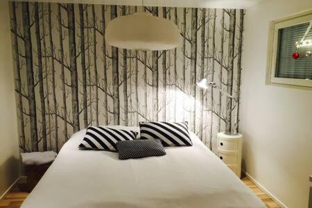 罗瓦涅米Scandinavian Style Villa的一间卧室配有一张带两个枕头的床