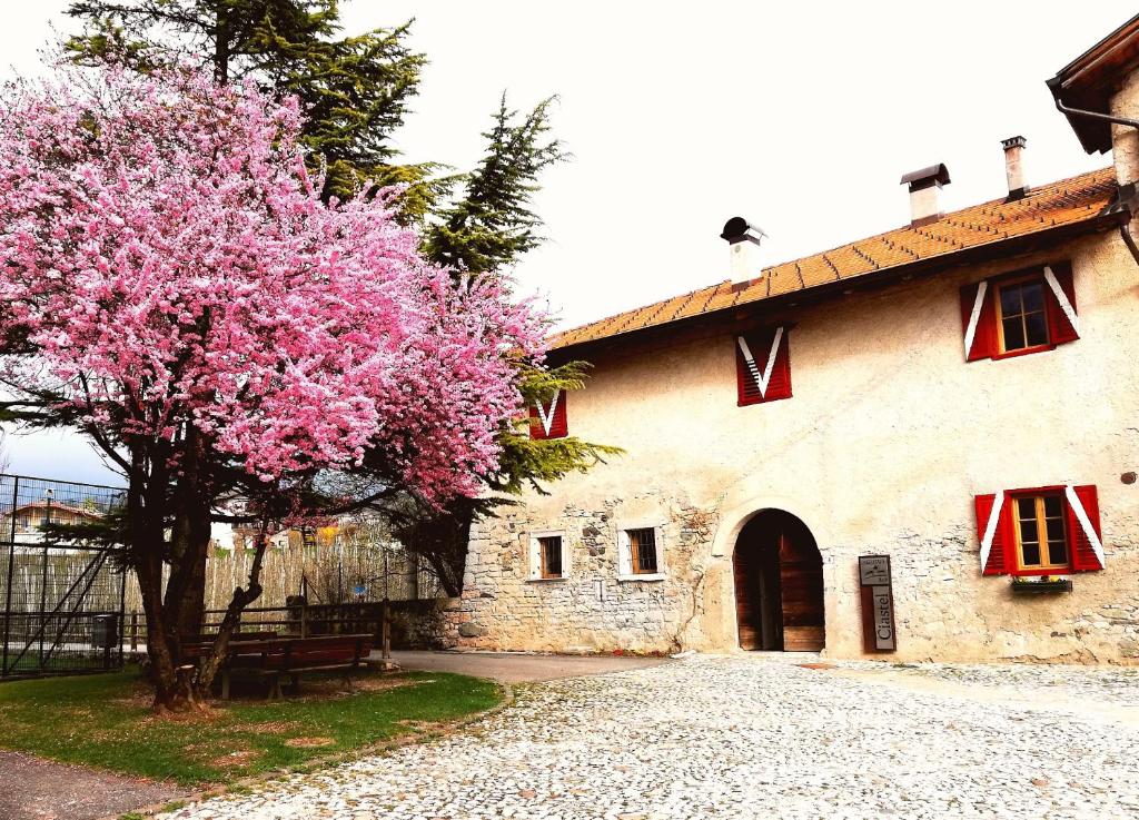 桑泽诺Agritur Ciastel的一座建筑物前有粉红色花的树