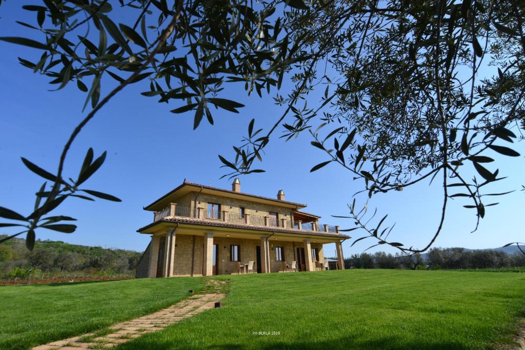 GradoliIl Casale degli Ulivi的草场顶部的房子