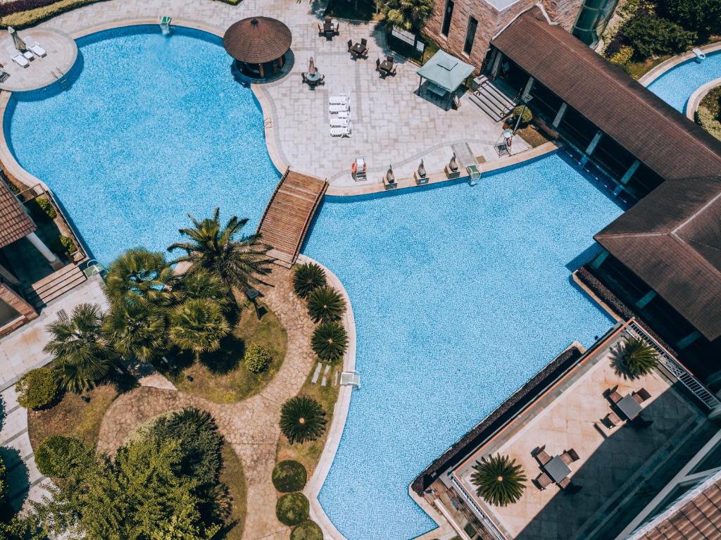 张家界张家界京武铂尔曼酒店（Ins红人首选）的享有棕榈树大型游泳池的顶部景致