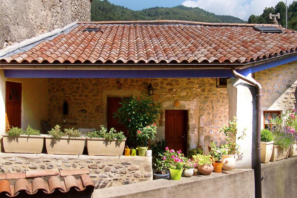 Saint-Fortunat-sur-EyrieuxGîte Le Galta - Maison entiére tout équipée, 2 chambres, SdB avec bain à remous, terrasse privative的前面有盆栽植物的石头房子