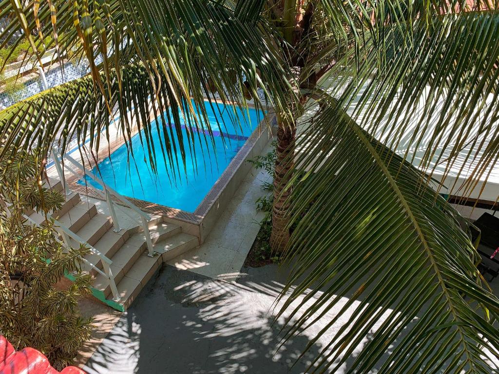佩德拉德瓜德拉巴Pousada da Pedra的享有游泳池的顶部景色,游泳池拥有棕榈树