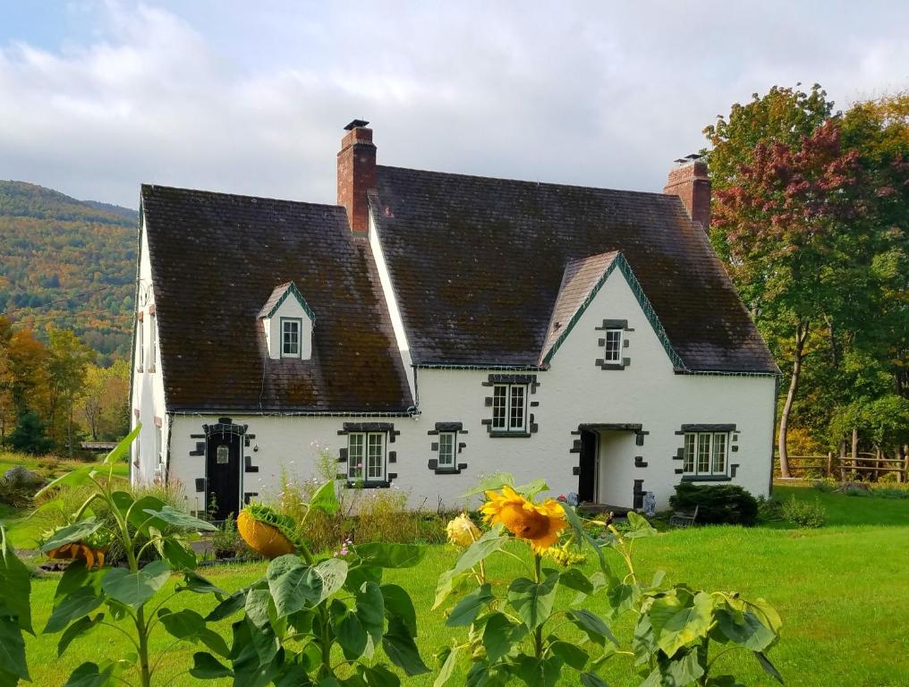 温德姆Georgian Garden的白色的房子,有黑色的屋顶和向日葵