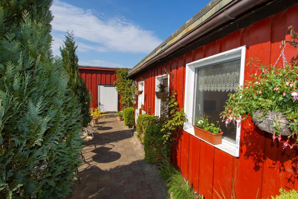 普特布斯Alte Schmiede Putbus的一座红房子,旁边种有植物