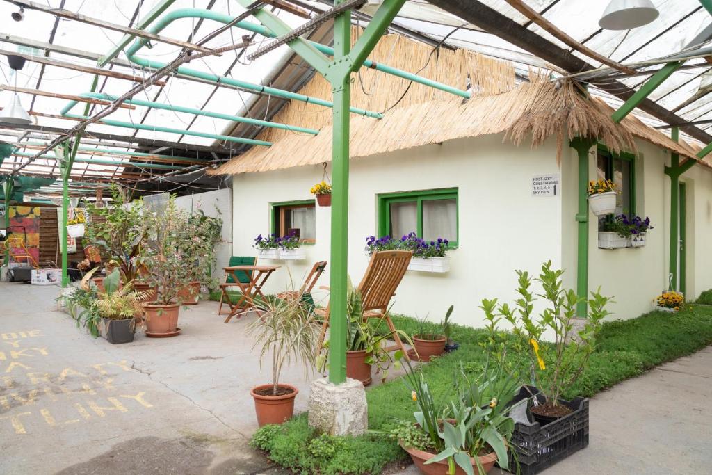 布拉迪斯拉发Rastlinky.sk Greenhouse Guestrooms的一座温室,里面栽有一堆盆栽植物