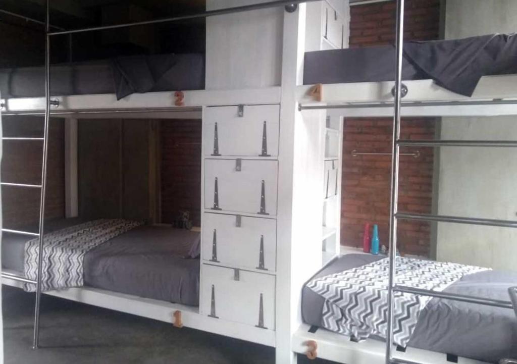 玛琅Shelter Hostel Malang的客房内的两张双层床