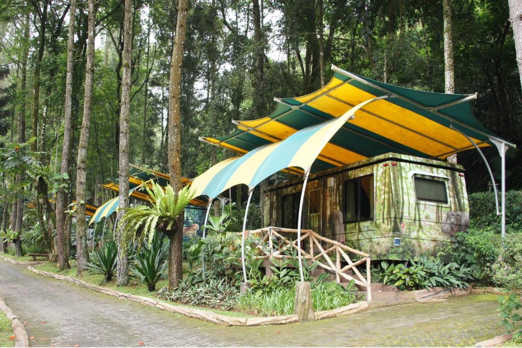 普卡Safari Resort的森林中间的帐篷