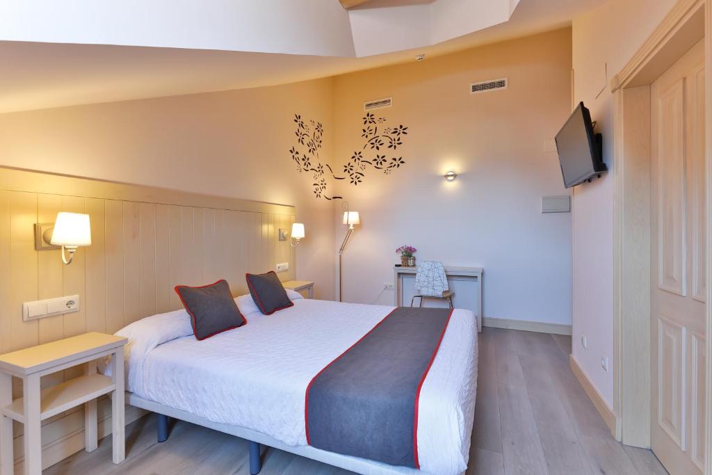 拉·格兰哈·圣·伊尔德Hostal La Chata by Vivere Stays的一间酒店客房,配有一张床和一台电视