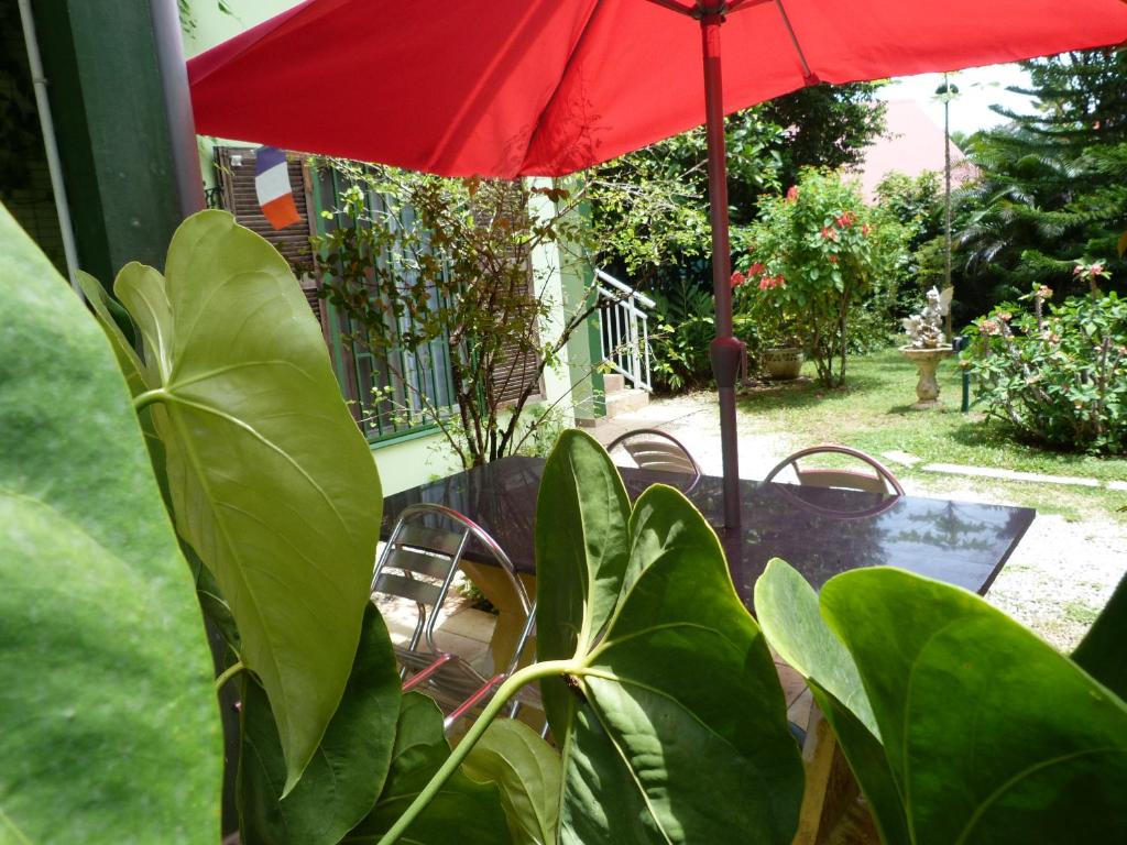 库鲁塔奇尼4号旅馆的红伞和桌椅与植物