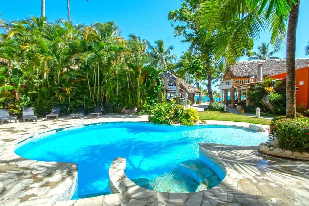 喀巴里特Hotel Villa Taina的棕榈树房子后院的游泳池