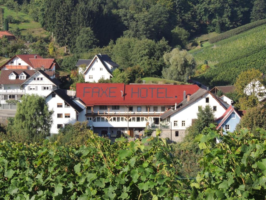 卡佩尔罗德克Hotel Faxe Schwarzwälder Hof的村里一家有火炉的酒店